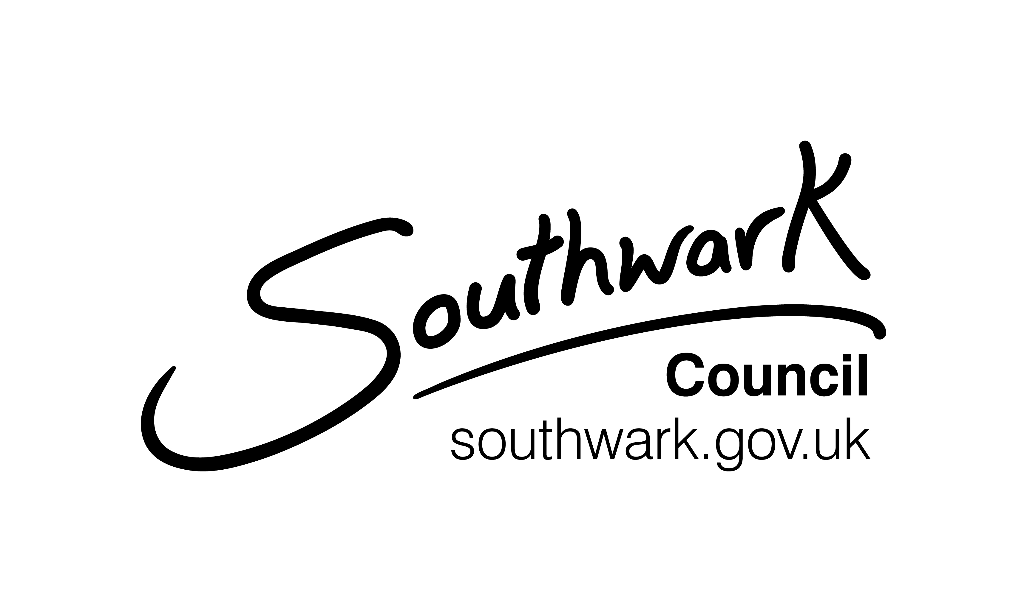 Southark Council with website